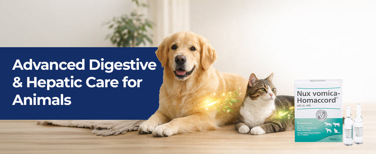 Digestive & Hepatic Support For Animals