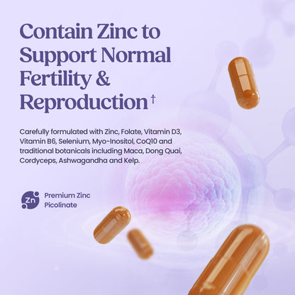 Fertility Support – Women - 60 Capsules