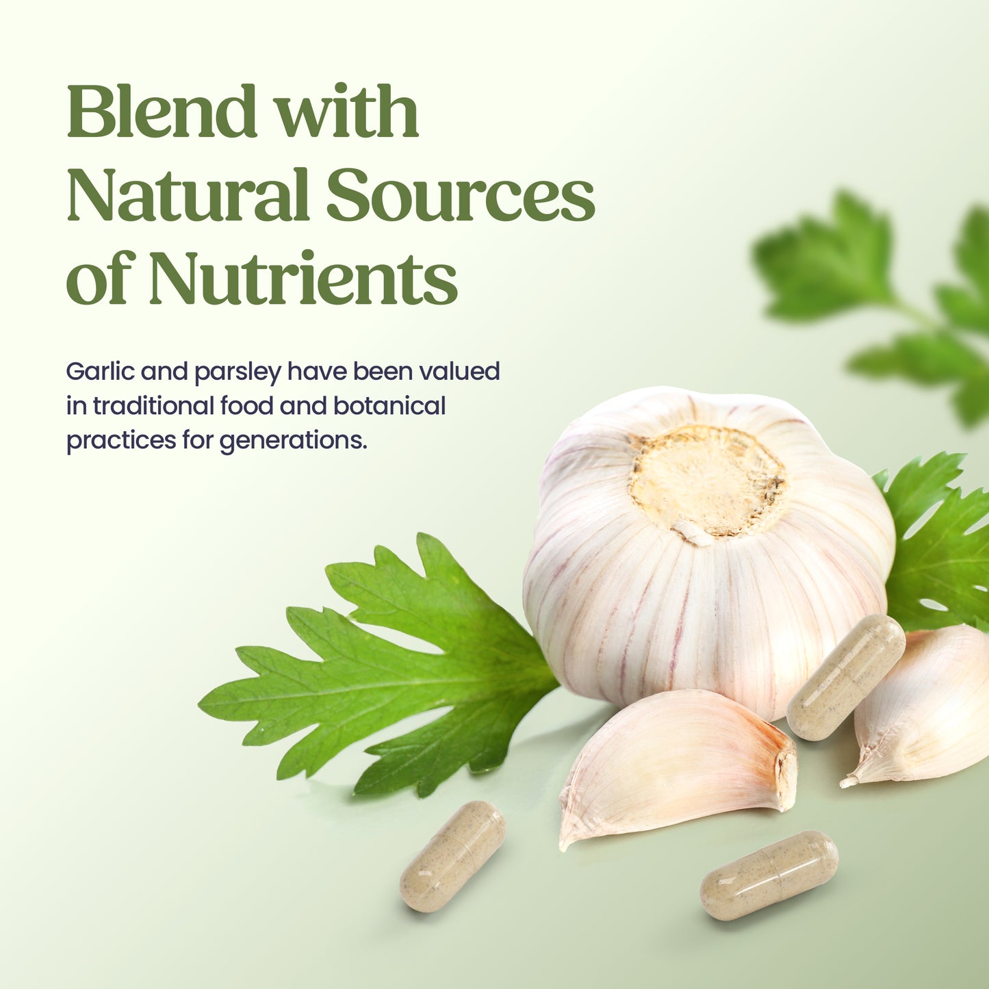 Garlic & Parsley – 60 Capsules