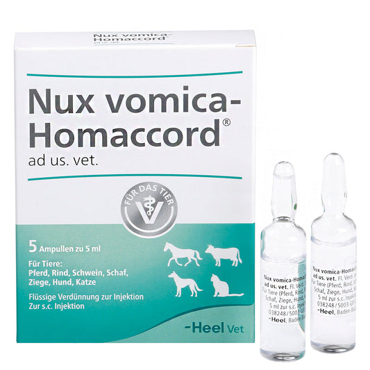 Nux Vomica Homaccord ad us vet 5ml 5 Ampoules (VET)-Similius