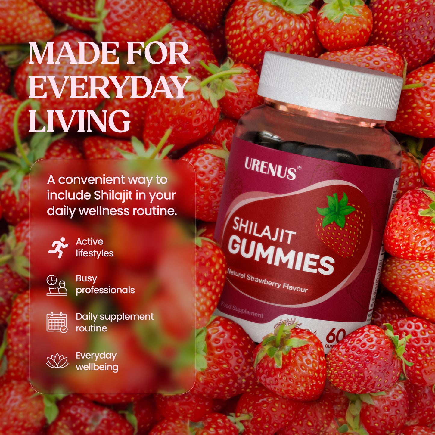 Shilajit Gummies with Vitamin C, B6 & B12 – 60 Gummies