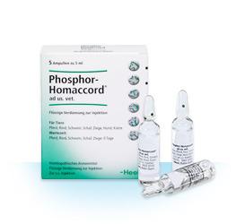Phosphor Homaccord ad us vet 5ml (VET)-Similius
