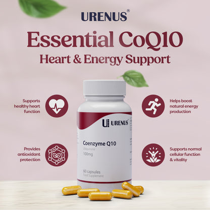 Coenzyme Q10 100 mg - 60 Capsules