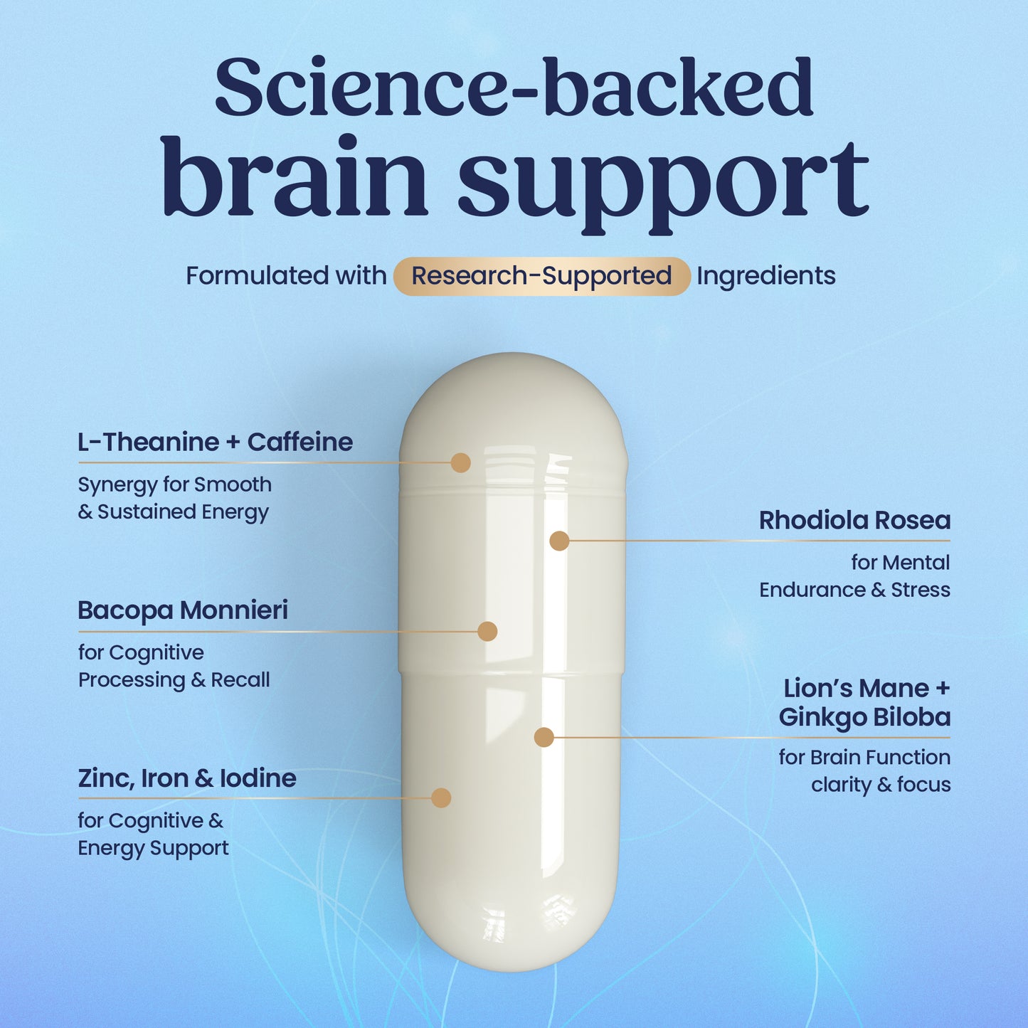 Brain & Cognitive Formula - 30 Capsules