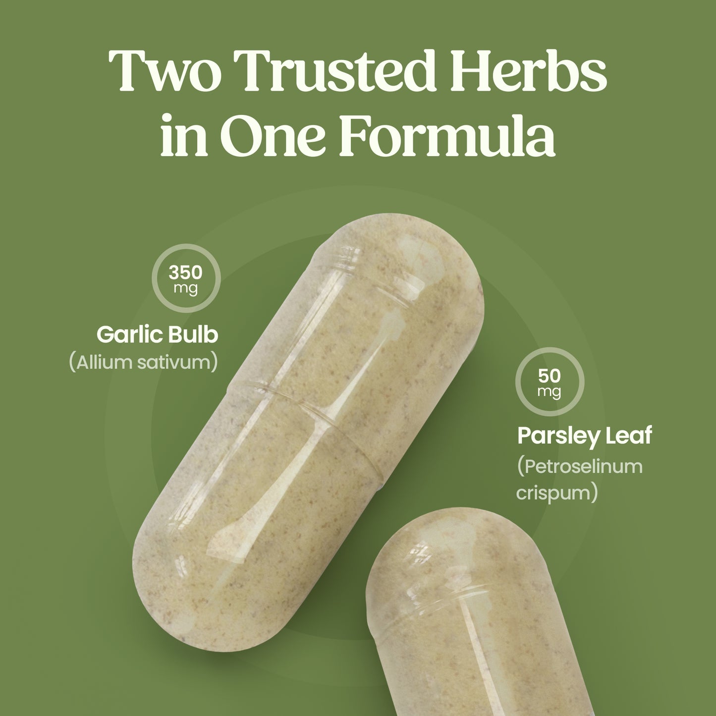 Garlic & Parsley – 60 Capsules