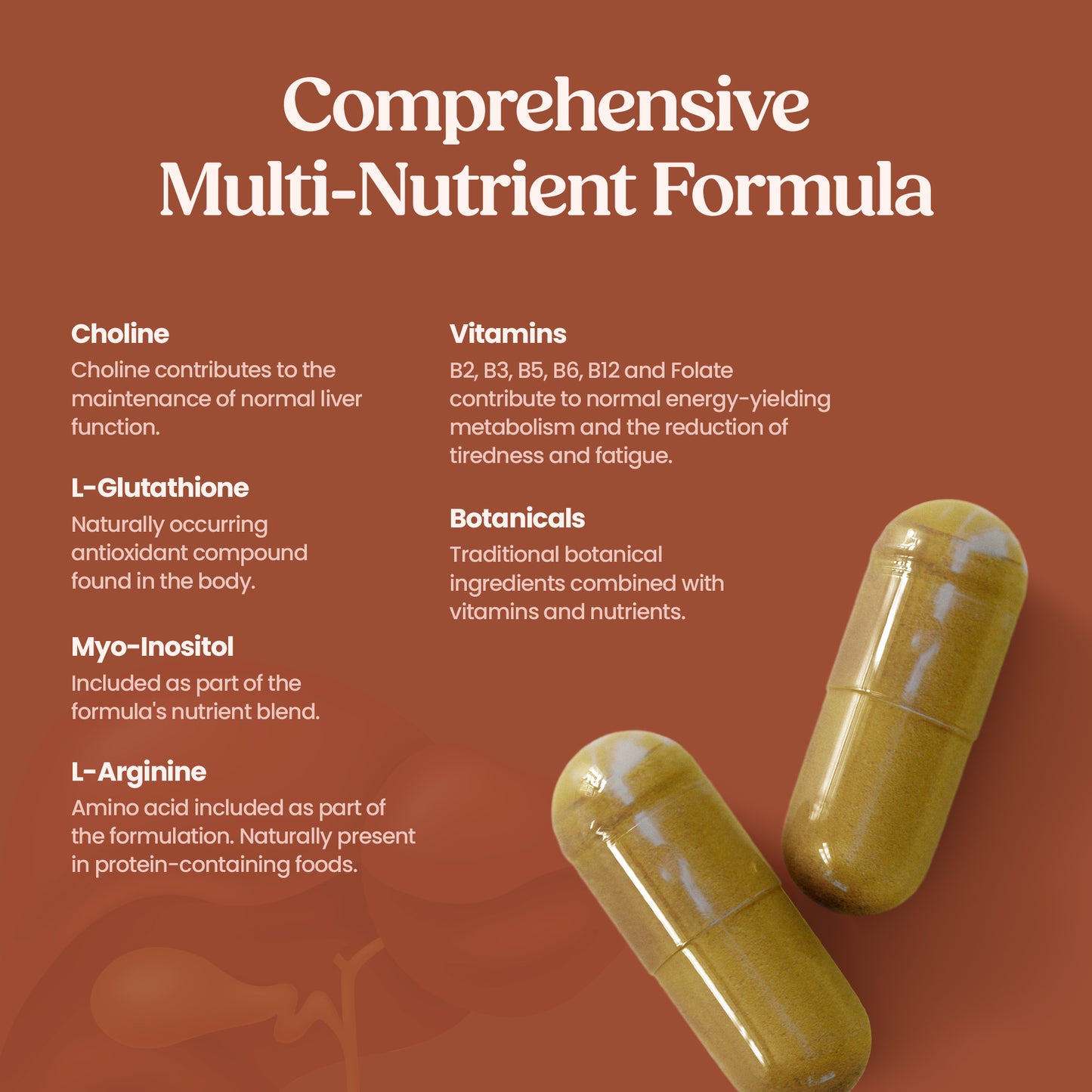 Liver Health Formula - 60 Capsules