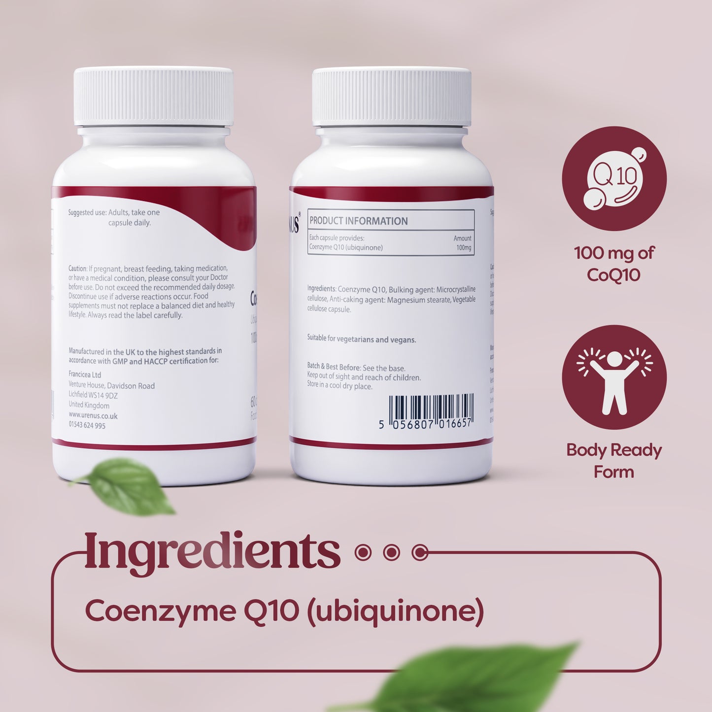Coenzyme Q10 100 mg - 60 Capsules
