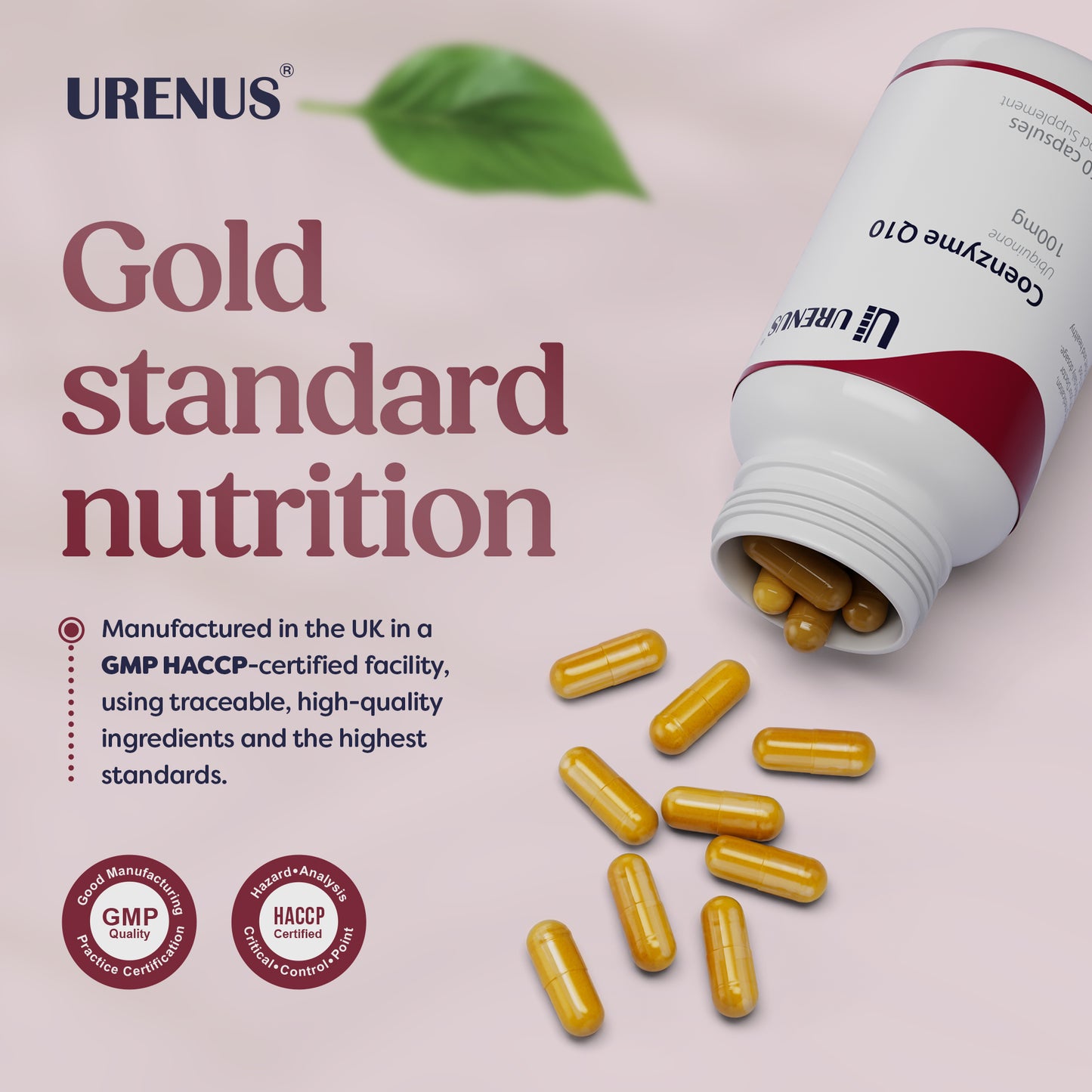 Coenzyme Q10 100 mg - 60 Capsules