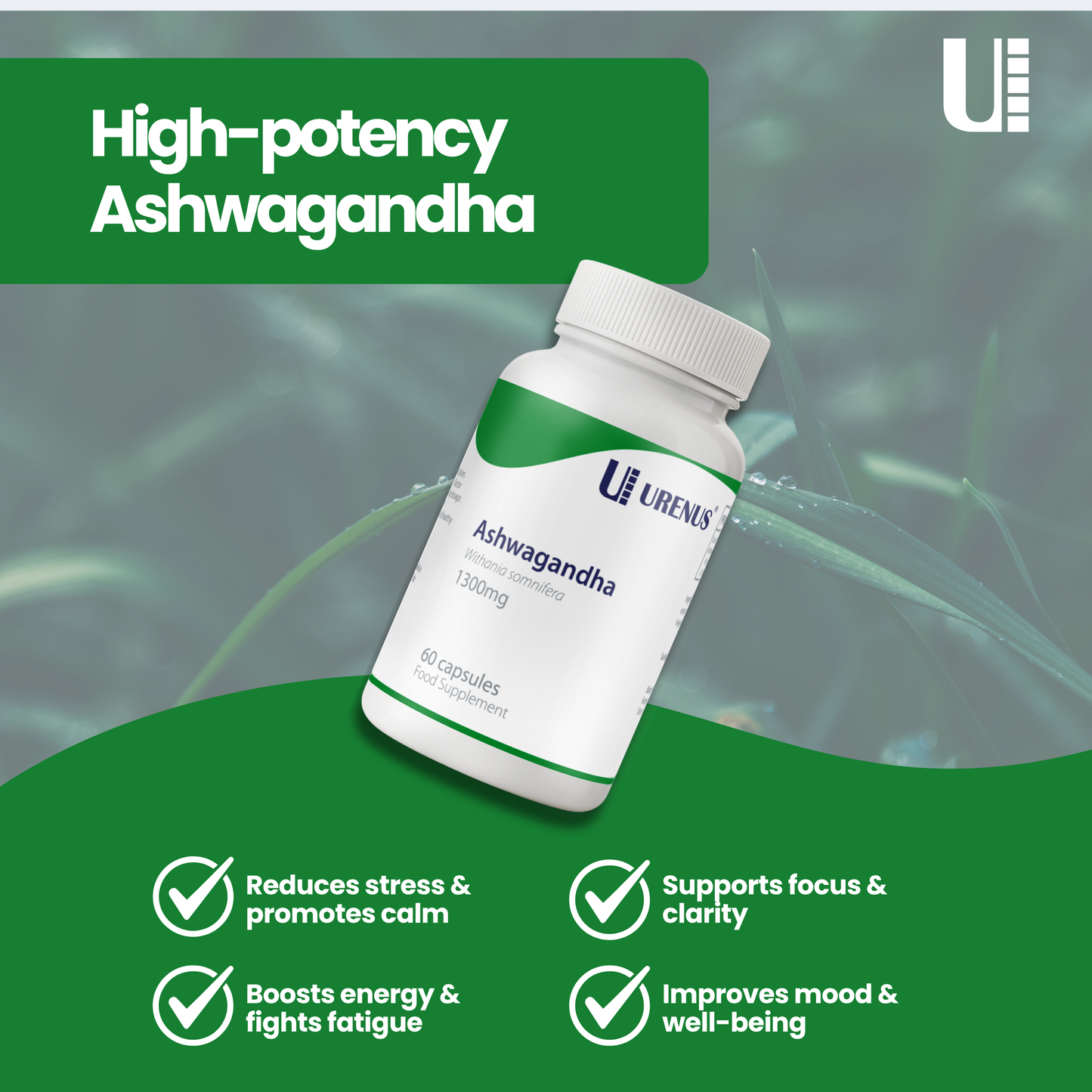 Ashwagandha 1300mg - 60 Capsules