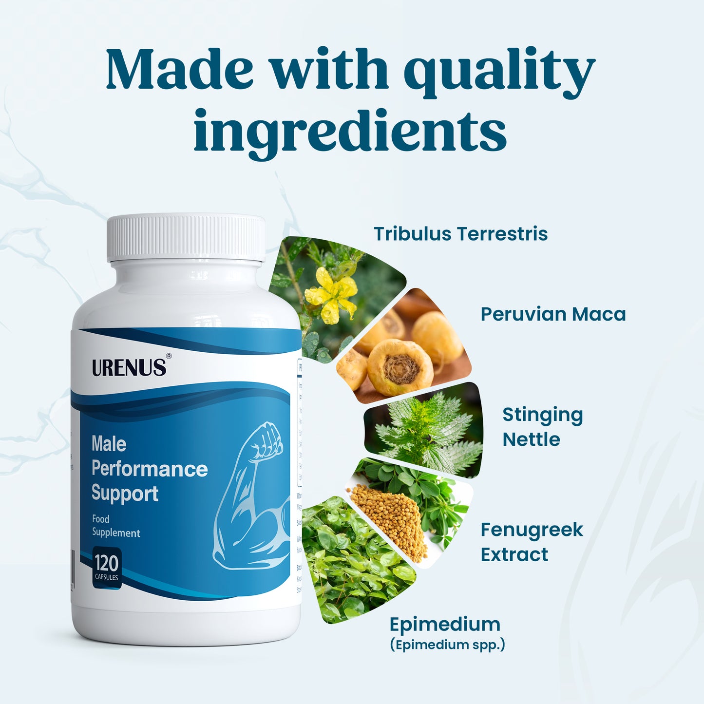 Male Performance Support - 120 Capsules