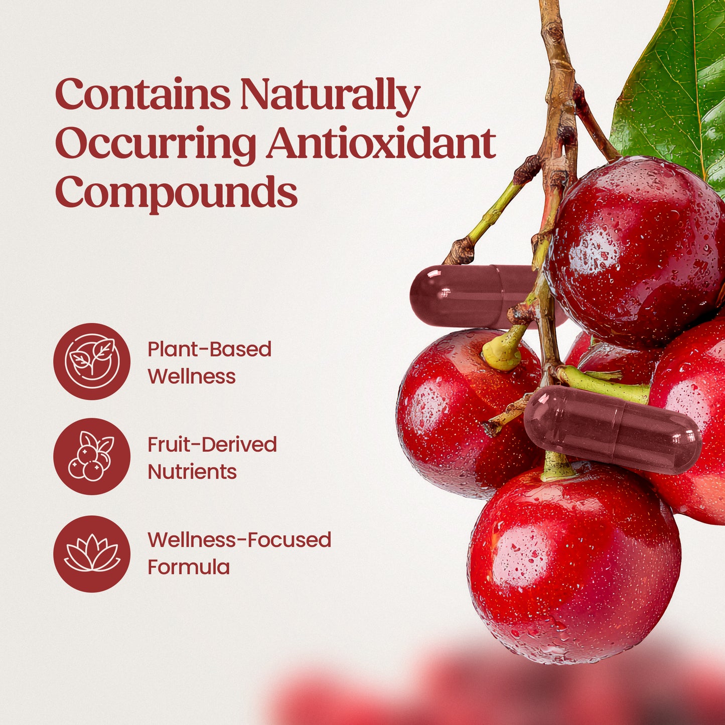 Cranberry 12,500mg - 30 Capsules