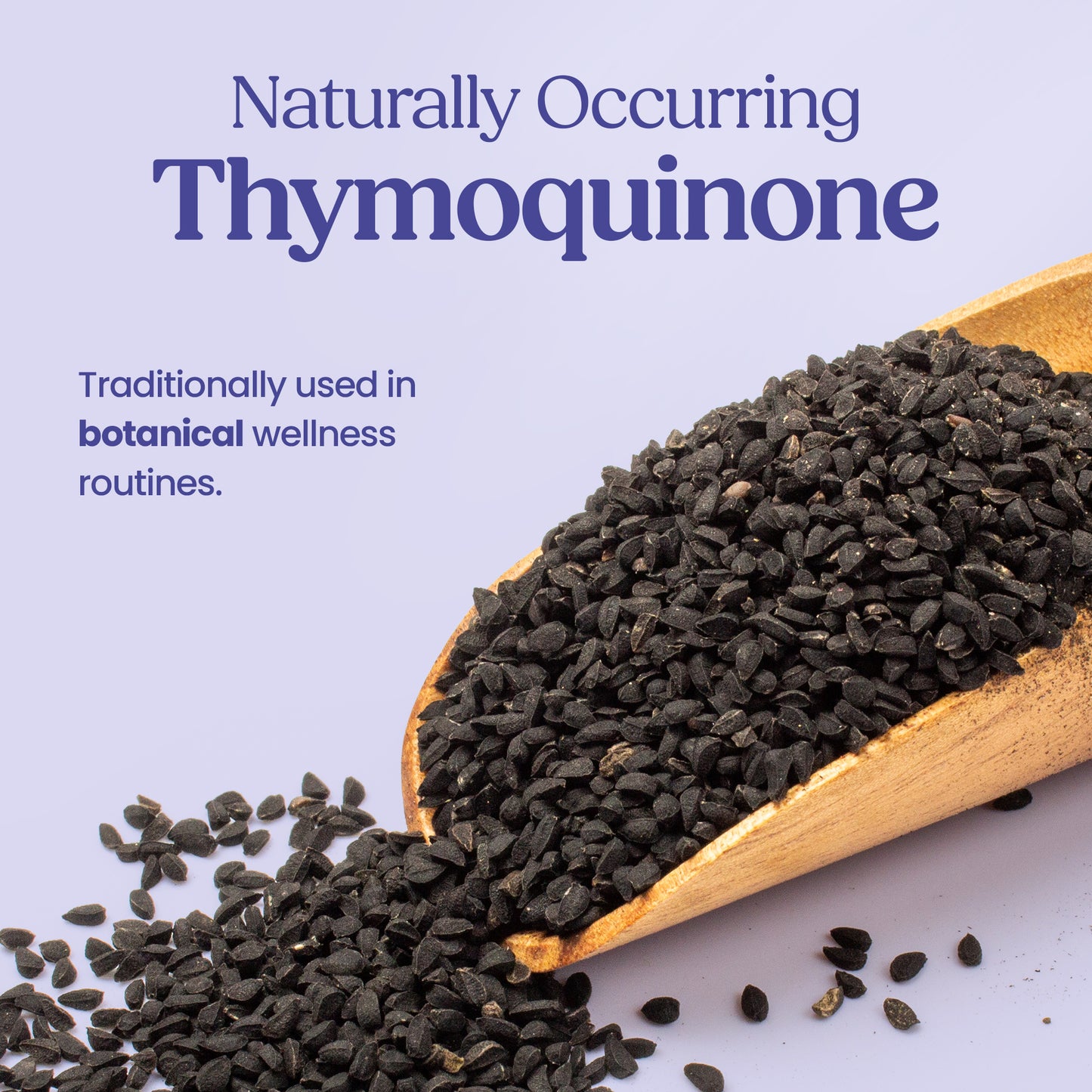 Black Cumin Seed 500mg - 60 Capsules