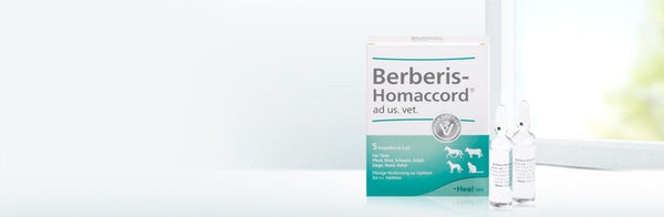 Berberis Homaccord ad us vet 5ml 5 Ampoules (VET)-Similius