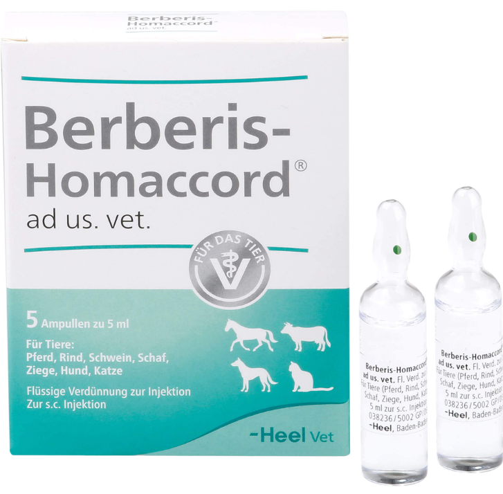Berberis Homaccord ad us vet 5ml 5 Ampoules (VET)