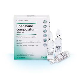 Co Enzyme Compositum ad us vet 5ml Ampoules (VET)-Similius
