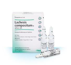 Lachesis Compositum ad.us.vet 5ml 5 Ampoules (VET)-Similius