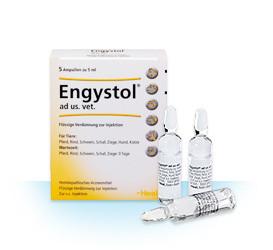 Engystol ad us vet 5ml (VET)-Similius