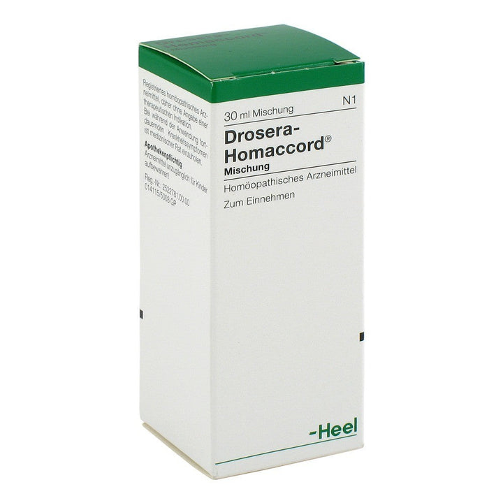 Drosera Homaccord-Similius