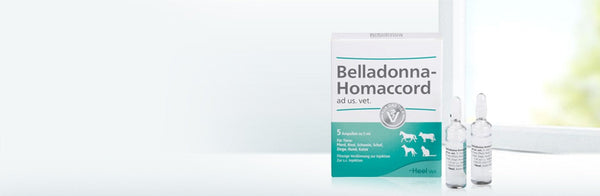 Belladonna Homaccord ad us vet 5ml 5 Ampoules (VET)-Similius