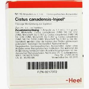 Cistus Canadensis Injeel 10 Ampoules-Similius