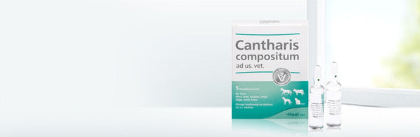 Cantharis comp ad.us.vet 5ml 5 Ampoules-Similius